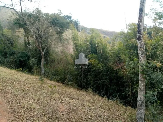 Imagem 12: Fazenda À Venda, M² por R$ 2.900.000,00 - Roseta - Cambuí/Mg