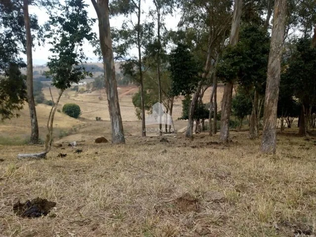 Imagem 13: Fazenda À Venda, M² por R$ 2.900.000,00 - Roseta - Cambuí/Mg