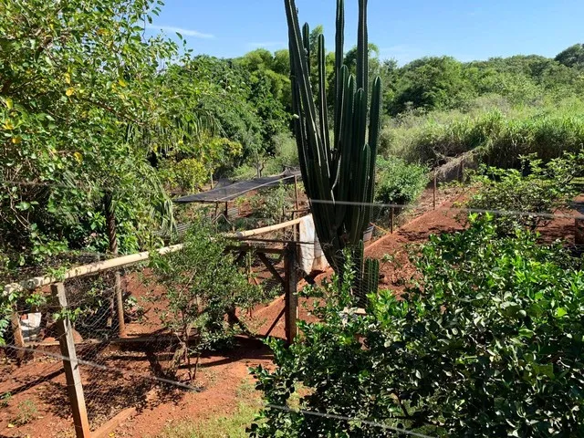 Imagem 12: Chácara À Venda, Parque Tarumã, Maringá, Pr