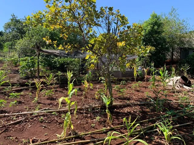 Imagem 13: Chácara À Venda, Parque Tarumã, Maringá, Pr