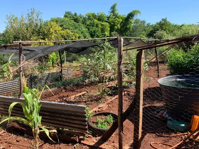 Imagem 14: Chácara À Venda, Parque Tarumã, Maringá, Pr