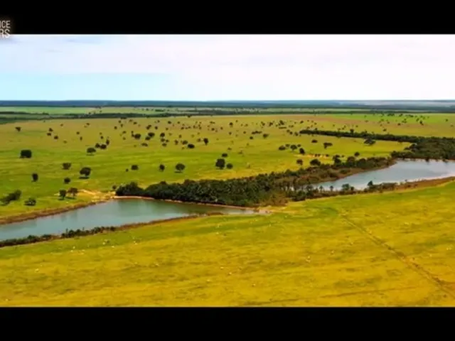 Imagem: Fazenda Agropecuária - Porteira Fechada