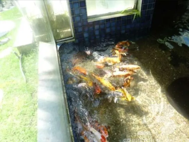 Imagem 4: Condomínio Marina Camboriú