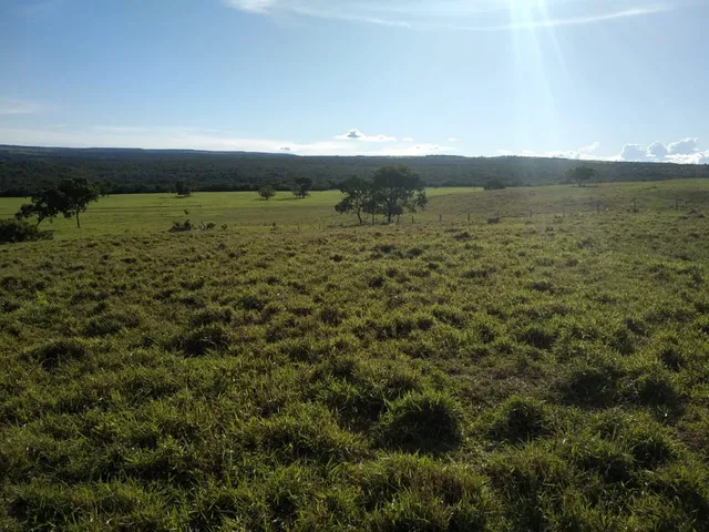 Imagem 6: Fazenda de Rio Negro Mato Grosso do Sul-Ms, Farms For Sale in Brazil, Farms in Brazil, Brazil Farms