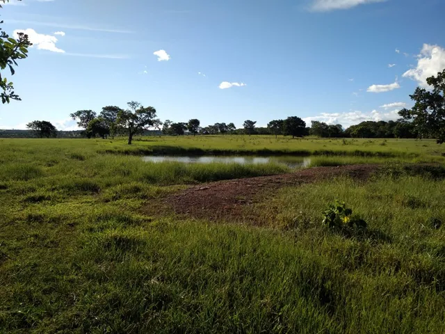 Imagem 7: Fazenda de Rio Negro Mato Grosso do Sul-Ms, Farms For Sale in Brazil, Farms in Brazil, Brazil Farms