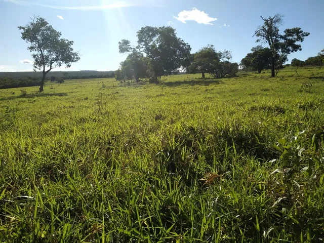 Imagem 8: Fazenda de Rio Negro Mato Grosso do Sul-Ms, Farms For Sale in Brazil, Farms in Brazil, Brazil Farms