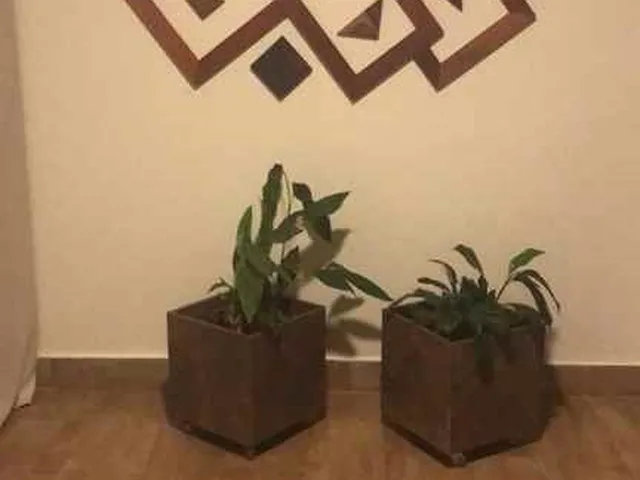 Imagem 11: Venha Conhecer Essa Linda Propriedade com 5.000 M² no Condomínio Chácaras Eldorado