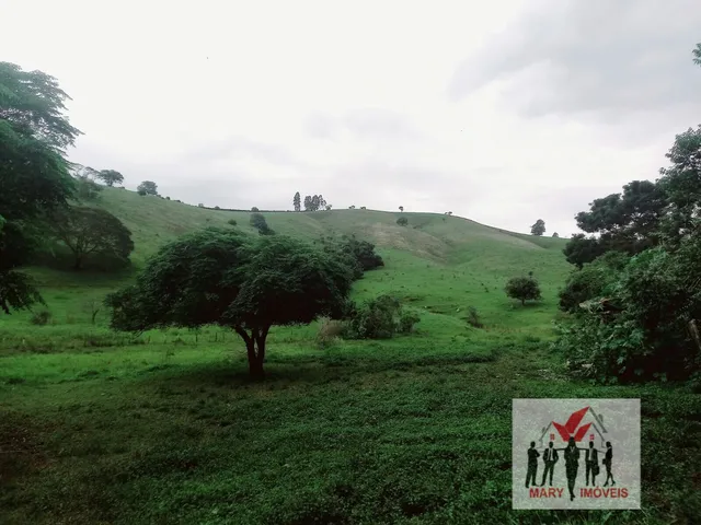 Imagem: Fazenda à venda no bairro Centro - Soledade