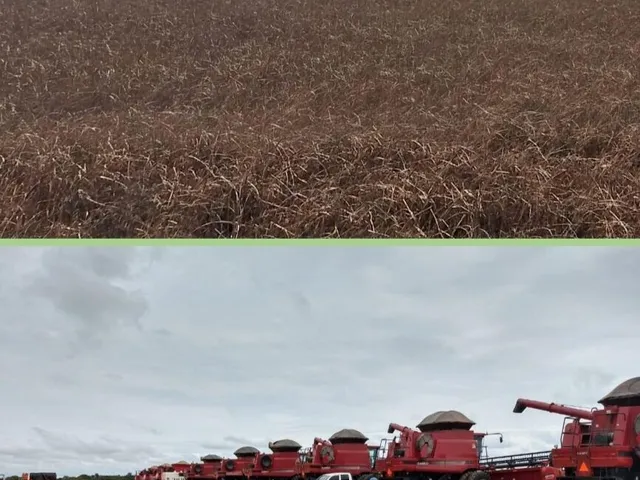 Imagem: A fazenda está localizado em Centro, Araguaína à venda por