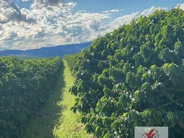 Imagem: Fazenda à venda no bairro Centro - Claraval/MG