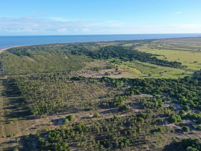 Imagem 12: 0 Fazenda / sítio com 6 dormitórios