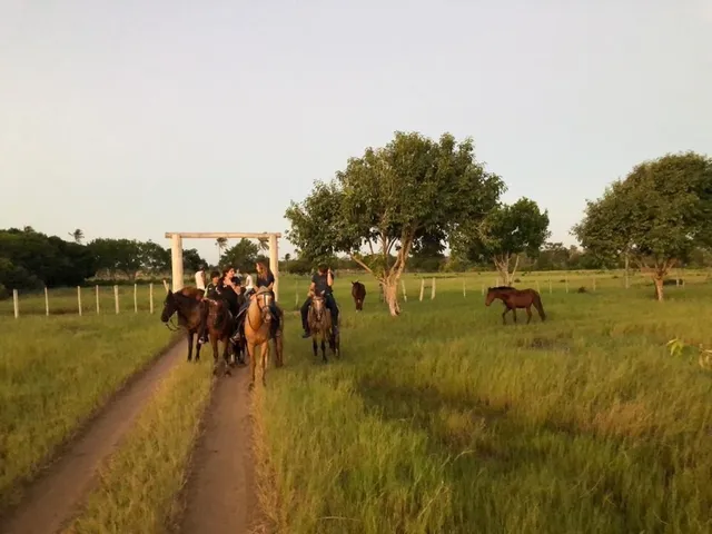 Imagem 10: 0 Fazenda / sítio com 6 dormitórios