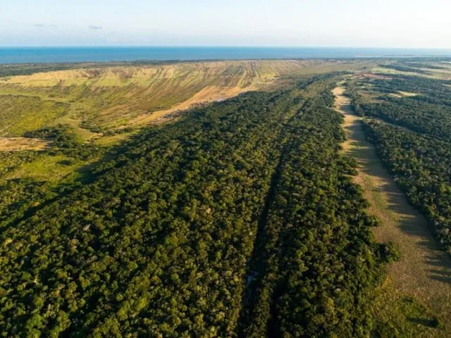 Imagem 8: 0 Fazenda / sítio com 6 dormitórios