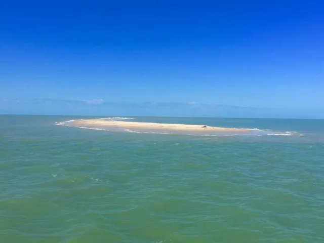 Imagem 13: 0 Fazenda / sítio com 6 dormitórios