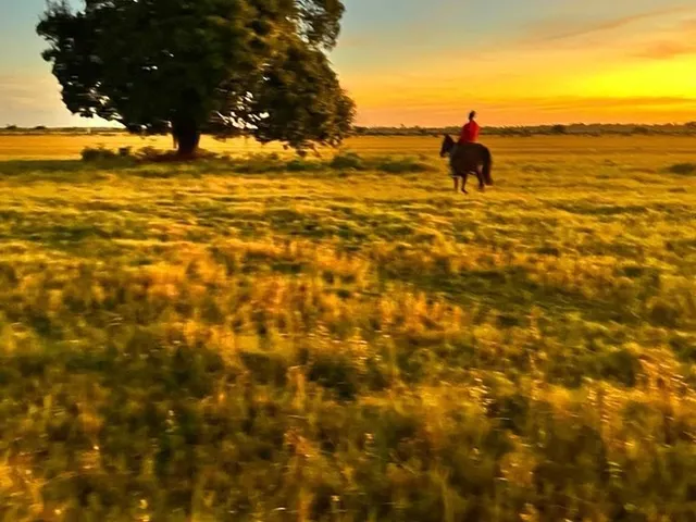 Imagem 7: 0 Fazenda / sítio com 6 dormitórios
