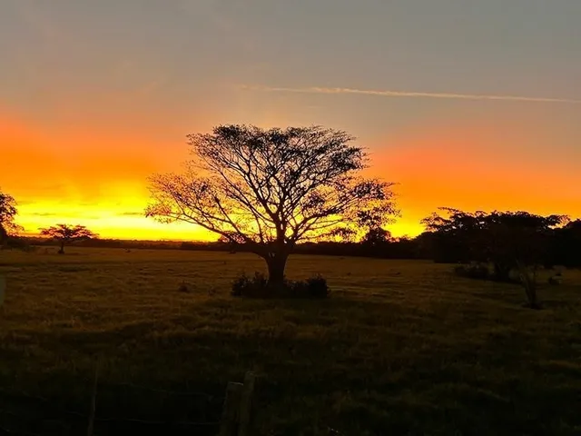 Imagem 3: 0 Fazenda / sítio com 6 dormitórios