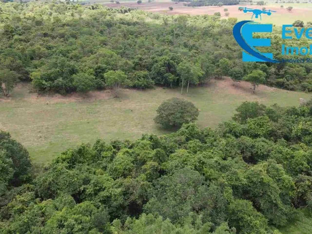 Imagem 6: Linda Chácara Próximo a Araguari para Moradia Ou Exploração Rural!