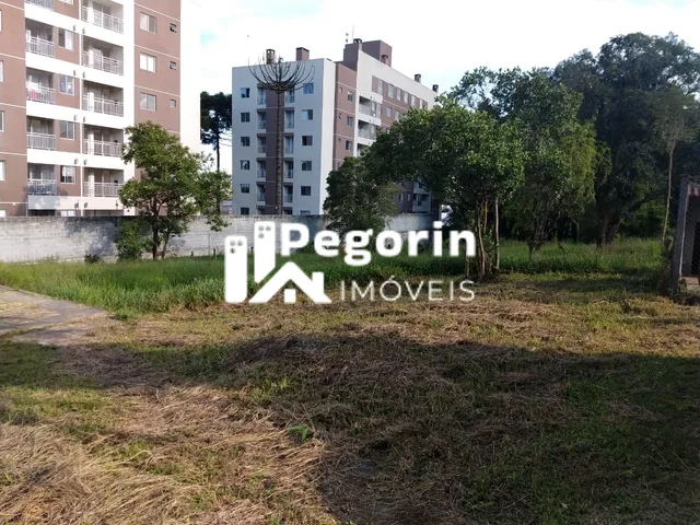 Imagem: Terreno 6325M² Á Venda em Pinhais Jardim