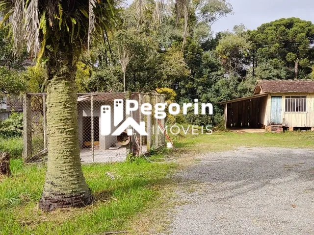 Imagem 6: Terreno 6325M² Á Venda em Pinhais Jardim Cláudia