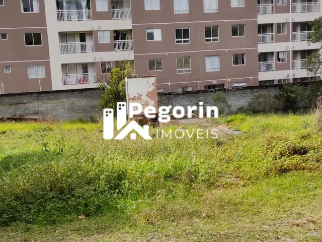 Imagem 7: Terreno 6325M² Á Venda em Pinhais Jardim Cláudia