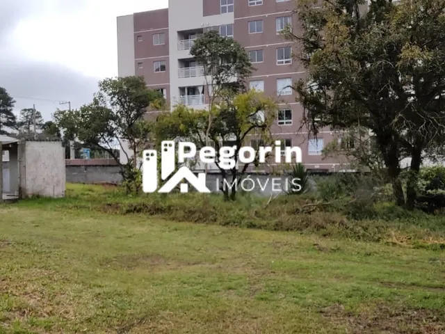 Imagem 13: Terreno 6325M² Á Venda em Pinhais Jardim Cláudia