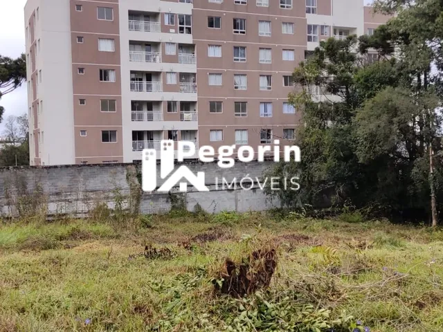 Imagem 14: Terreno 6325M² Á Venda em Pinhais Jardim Cláudia