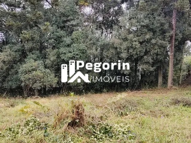 Imagem 15: Terreno 6325M² Á Venda em Pinhais Jardim Cláudia