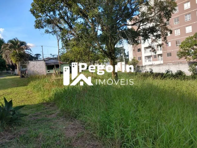 Imagem 16: Terreno 6325M² Á Venda em Pinhais Jardim Cláudia