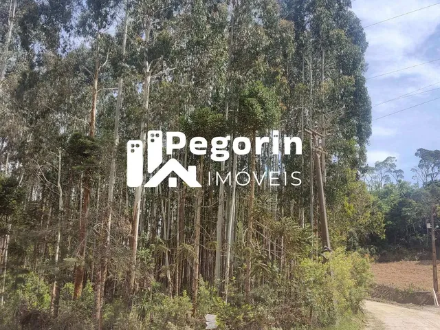 Imagem 2: Chácara para Venda, Campo Magro / Pr, Bairro Hervalzinho, Área Total 24.397,00 M²