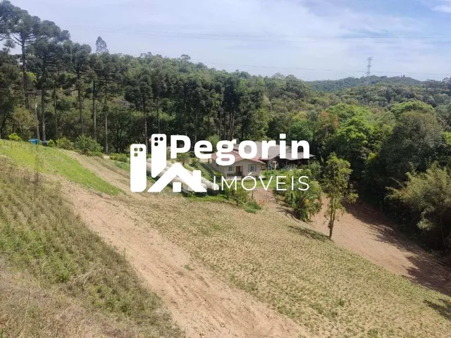 Imagem 3: Chácara para Venda, Campo Magro / Pr, Bairro Hervalzinho, Área Total 24.397,00 M²