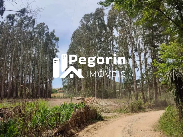 Imagem 4: Chácara para Venda, Campo Magro / Pr, Bairro Hervalzinho, Área Total 24.397,00 M²