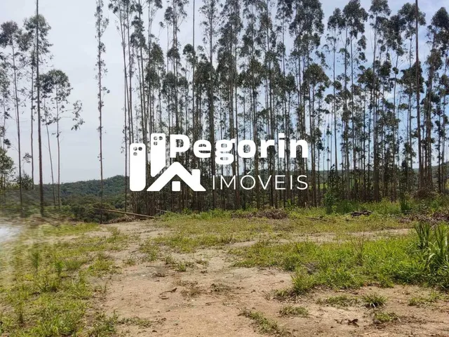 Imagem 5: Chácara para Venda, Campo Magro / Pr, Bairro Hervalzinho, Área Total 24.397,00 M²