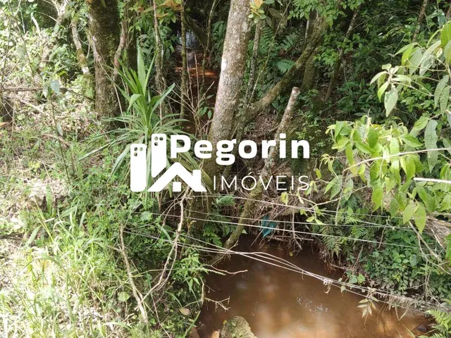 Imagem 6: Chácara para Venda, Campo Magro / Pr, Bairro Hervalzinho, Área Total 24.397,00 M²