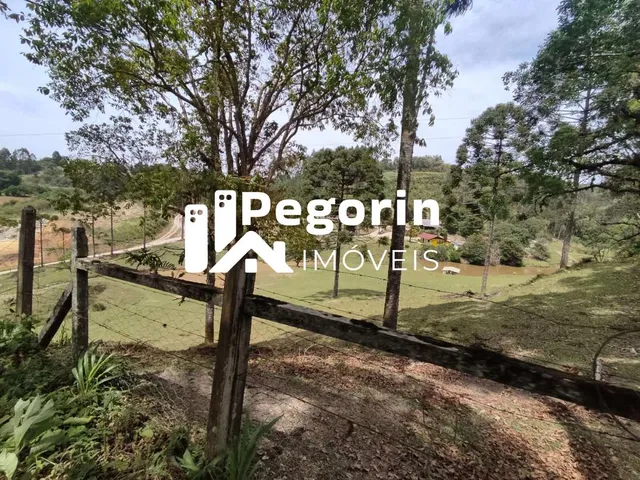 Imagem 9: Chácara para Venda, Campo Magro / Pr, Bairro Hervalzinho, Área Total 24.397,00 M²