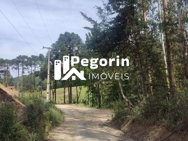Imagem 10: Chácara para Venda, Campo Magro / Pr, Bairro Hervalzinho, Área Total 24.397,00 M²