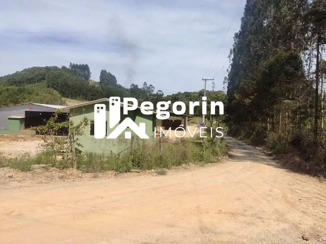 Imagem 11: Chácara para Venda, Campo Magro / Pr, Bairro Hervalzinho, Área Total 24.397,00 M²