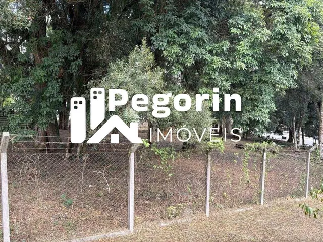 Imagem 8: Terreno com Casa À Venda em Campo Largo