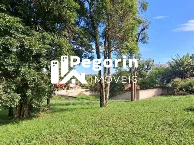 Imagem 11: Terreno com Casa À Venda em Campo Largo
