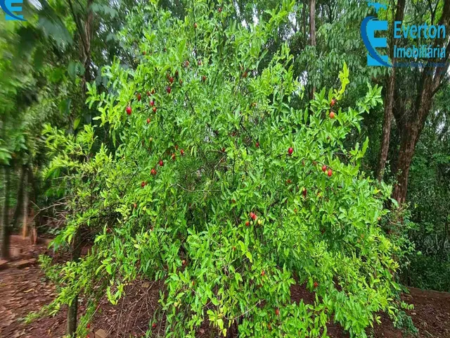 Imagem 12: Chácara com 5000 M² no Jockey Camping - Uberlândia Mg
