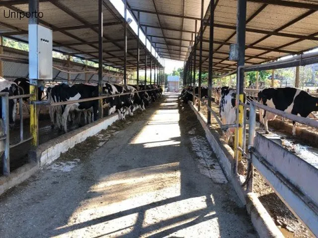 Imagem: FAZENDA RURAL em Pouso Alegre - MG, Zona
