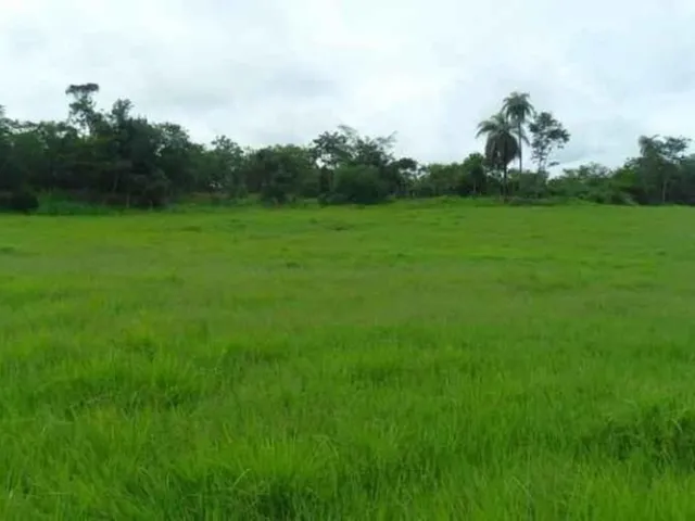Imagem: Chácara 20.000M² com Córregos nos Fundos
