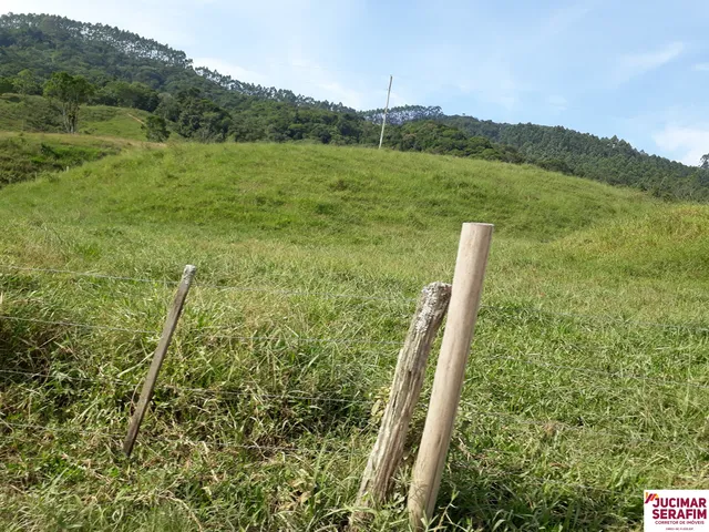 Imagem: Fazenda de Gado e Lavoura a Venda em Tijucas