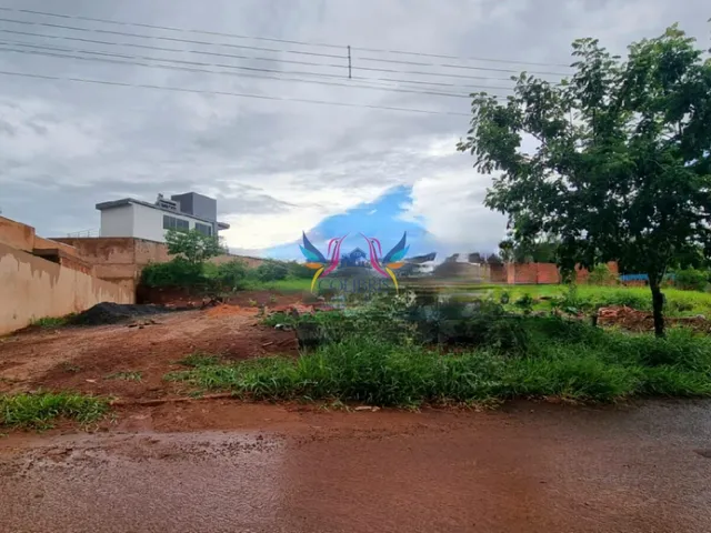 Imagem: Terreno em frente à área de proteção