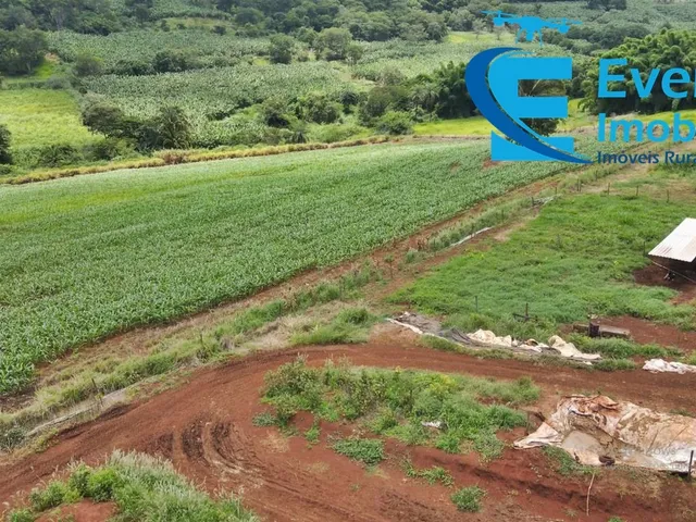 Imagem 3: 0 Fazenda / sítio com 5 dormitórios