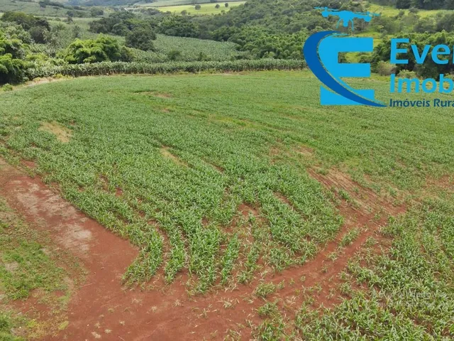 Imagem 6: Sitio Próximo a Uberlândia com Estrutura Completa . Distante Apenas a 9Km De
