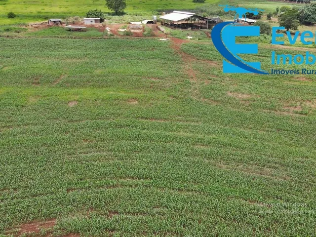 Imagem 5: 0 Fazenda / sítio com 5 dormitórios
