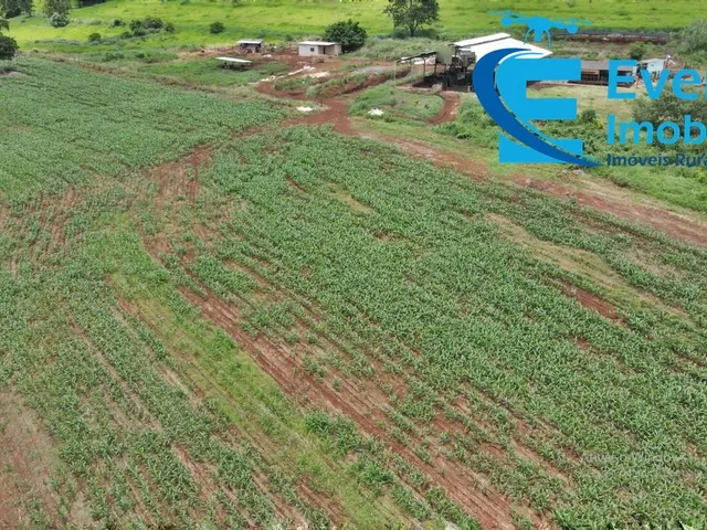 Imagem 8: Sitio Próximo a Uberlândia com Estrutura Completa . Distante Apenas a 9Km De