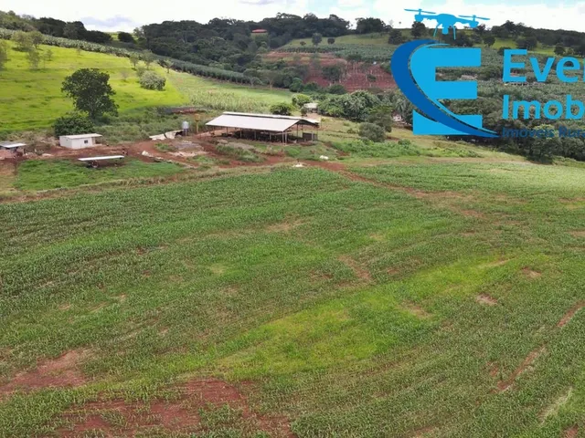 Imagem 2: 0 Fazenda / sítio com 5 dormitórios