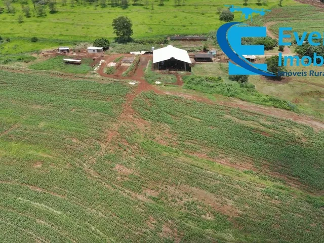 Imagem 11: 0 Fazenda / sítio com 5 dormitórios