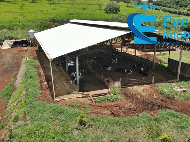 Imagem 15: 0 Fazenda / sítio com 5 dormitórios
